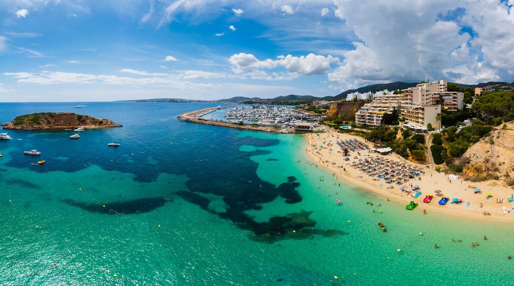 푸에르토 포르탈스 마리나