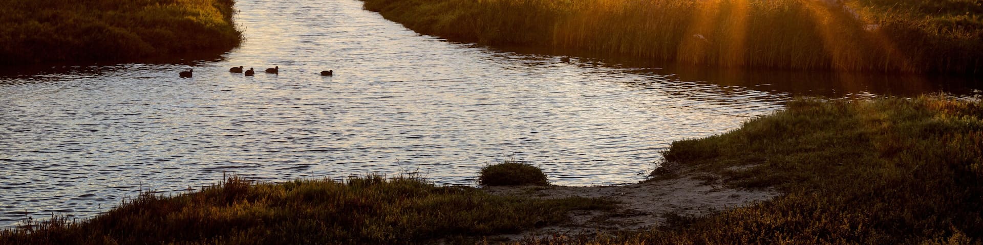 USA, California, Central Coast, Lompoc. Sunrise over the Santa Ynez River from Ocean Beach Park