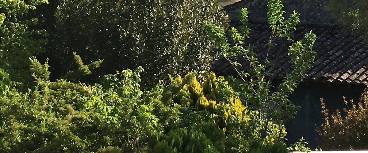 Église dans le bourg de Sainte-Eulalie Bâtiment le plus ancien du village, l'église a été reconstruite au XIIème siècle sur un édifice religieux antérieur ainsi qu'en témoignent ses fondations et des sarcophages mérovingiens trouvés au pied de l'abside. Cette église romane comporte depuis son origine une nef centrale avec deux bas-côtés et un cimetière clos d'un haut mur y est accolé. Toutefois son clocher carré d'époque romane a été remplacé par un clocher à flèche néogothique lors d'importants travaux de restauration et d'embellissement menés en 1868.