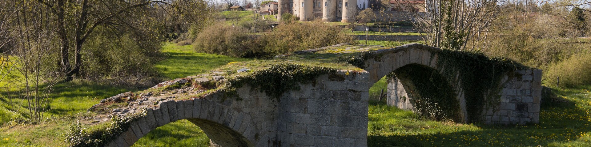 A stone bridge in a grassy area with a castle in the background.