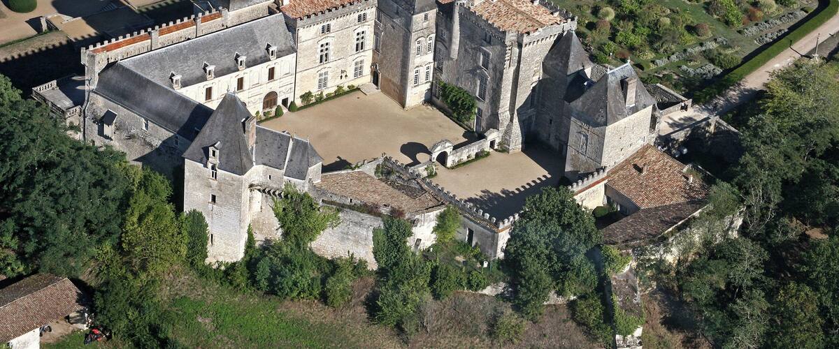 An aerial view of a historic castle with a moat, surrounded by well-maintained gardens and trees.