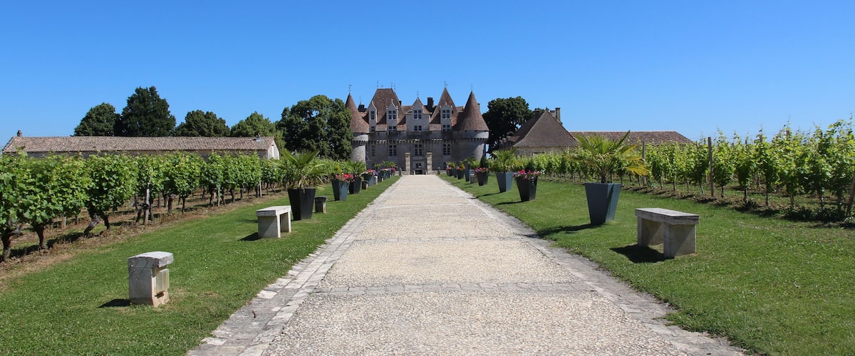 A vineyard pathway leading to a castle.