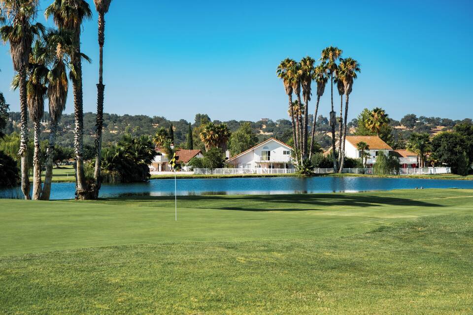 A golf course with a lake, palm trees, and houses in the background.