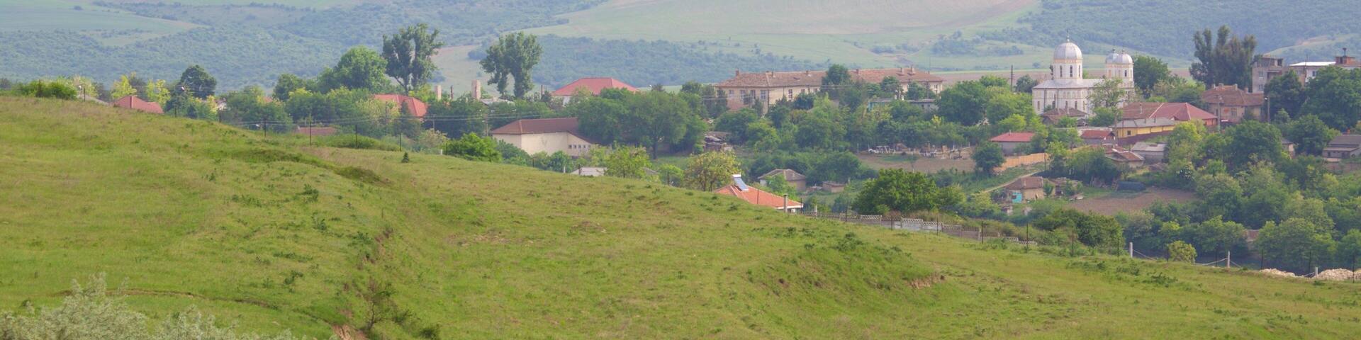 Adamclisi which includes tranquil scenes