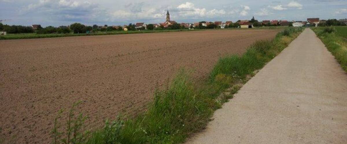 A rural landscape with a dirt path, open fields, and a distant church.