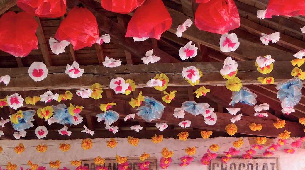 For many years the French government tried to suppress the Occitane culture that once dominated most of what is now southern France. Now, each year a 'Felibrée' celebrates this ancient culture in a different Périgord village.