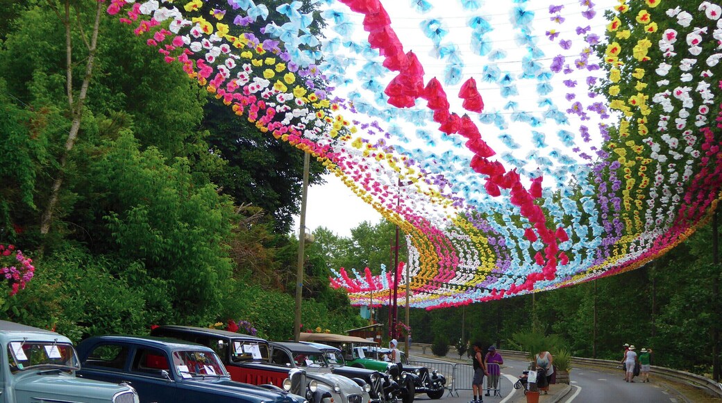 For many years the French government tried to suppress the Occitane culture that once dominated most of what is now southern France. Now, each year a 'Felibrée' celebrates this ancient culture in a different Périgord village. I'm not sure what the cars have to do with it...