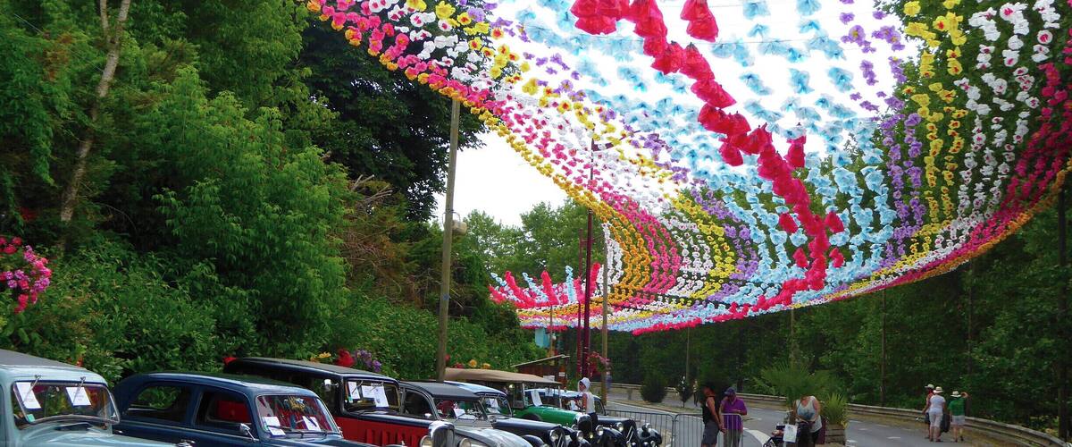 Vintage cars parked along a road with a colorful flower arch overhead.