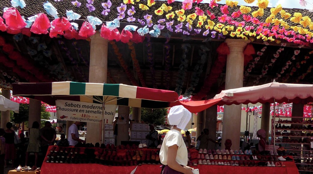 For many years the French government tried to suppress the Occitane culture that once dominated most of what is now southern France. Now, each year a 'Felibrée' celebrates this ancient culture in a different Périgord village.