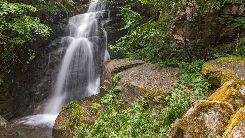 A waterfall cascading over rocks surrounded by lush greenery.