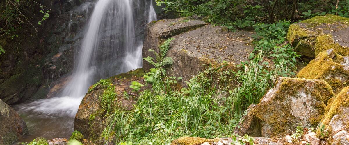 A waterfall cascading over rocks surrounded by lush greenery.