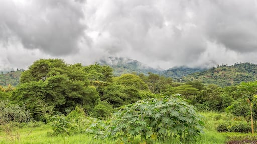Uluguru Mountains in the Eastern Region of Tanzania