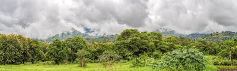 Uluguru Mountains in the Eastern Region of Tanzania