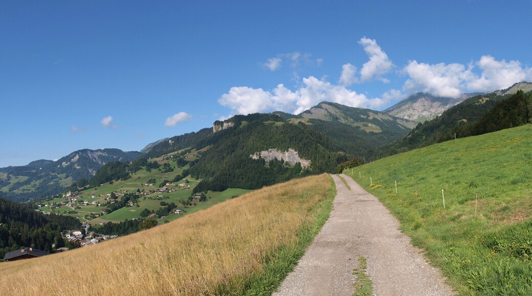 Panorama above alpine town of Flumet (Savoy, France) from Champagne road in summer 2008