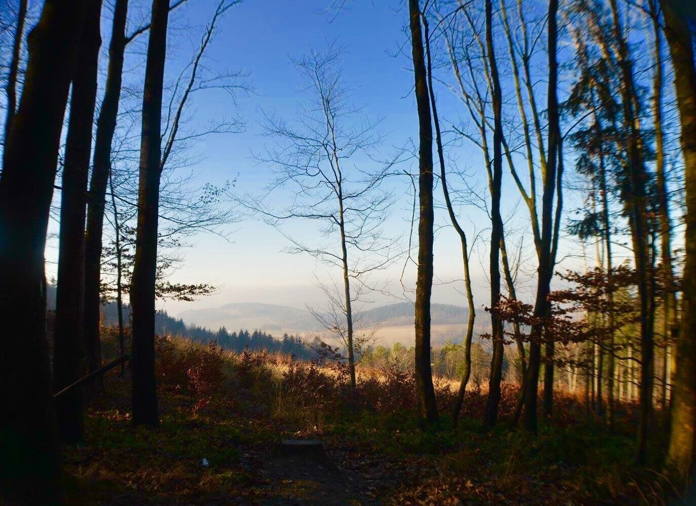 Just one view from a 5 mile (8 kilometer) walk up the Hostyn mountain. Legend has it, Mother Mary was seen at the top of this hill where she created a stream of water to the stranded people hiding from the Tartars. There is now a church dedicated to her at the said location. https://en.m.wikipedia.org/wiki/Hostýn