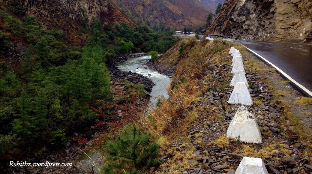 Very scenic road on the way to Thimphu from Phuentsholing ..