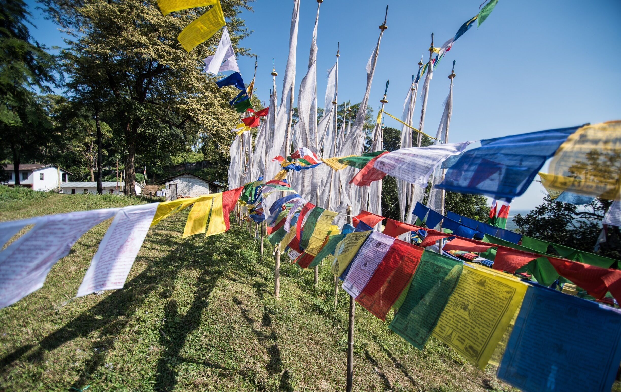 A line of prayer flags in various colors, tied to wooden poles, with a clear sky and trees in the background.
