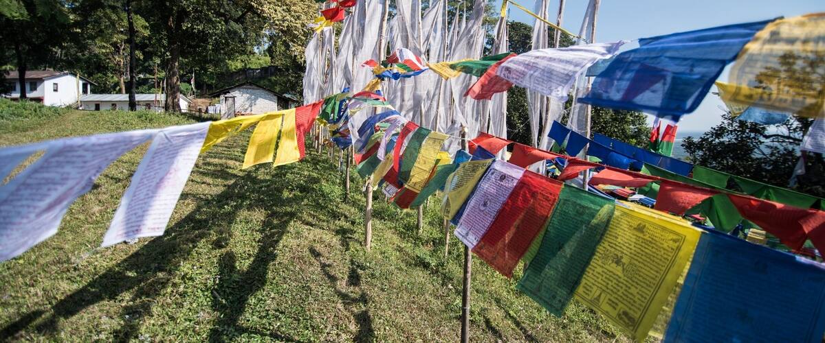 A line of prayer flags in various colors, tied to wooden poles, with a clear sky and trees in the background.