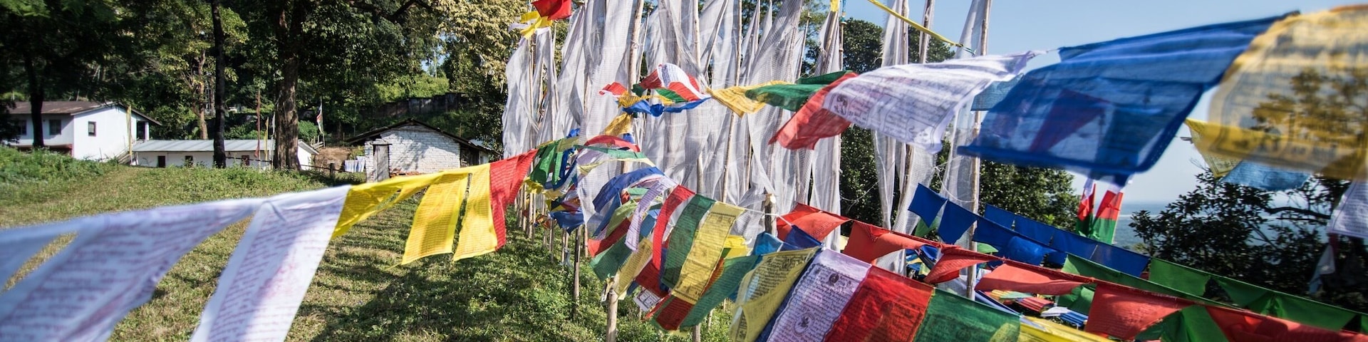A line of prayer flags in various colors, tied to wooden poles, with a clear sky and trees in the background.