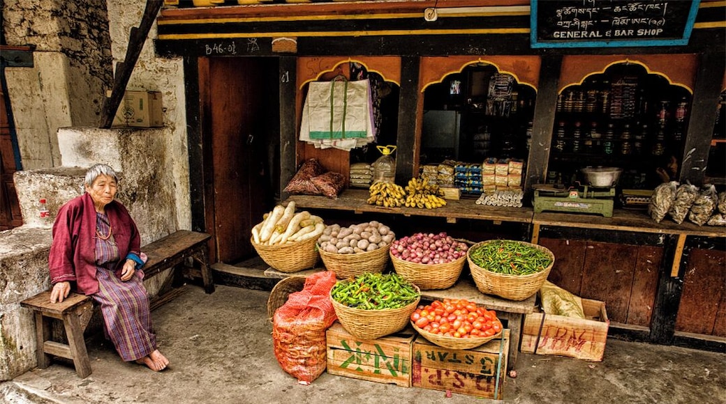 Off the beaten path, Trashigang is set on a scenic hillside and was once a bustling trade center for merchants travelling between the Indian district of Assam and Tibet. The historic Trashigang Dzong sits high on a ridge overlooking the town. The town comes to life for Tshechu festival in November/December. The festival is an amazing display of dance, colourful costumes, masks and culminates with the display of the old Thongdrol of Guru Tshengyed (a very large and beautiful tapestry).