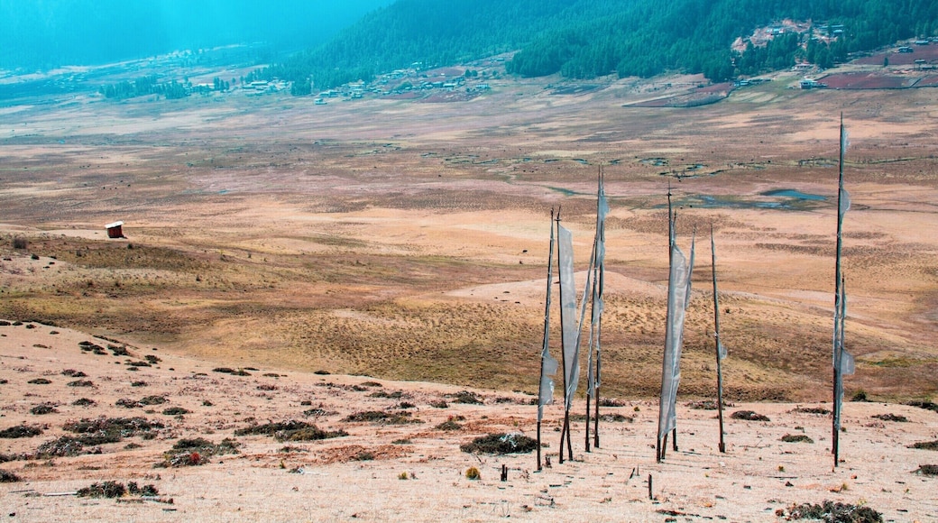 Prayer flags over the Phobjikha Valley, Bhutan. Stands of prayer flags are ubiquitous in Bhutan. They typically commemorate someone who has recently died, put up by his or her family. They are allowed to deteriorate naturally, symbolizing the impermanence of life.