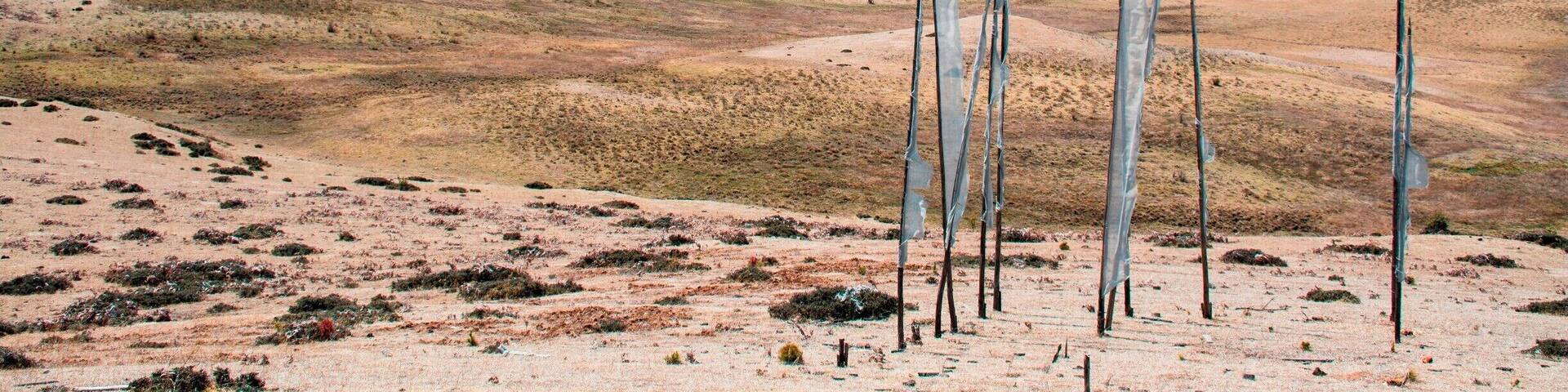Prayer flags over the Phobjikha Valley, Bhutan. Stands of prayer flags are ubiquitous in Bhutan. They typically commemorate someone who has recently died, put up by his or her family. They are allowed to deteriorate naturally, symbolizing the impermanence of life.