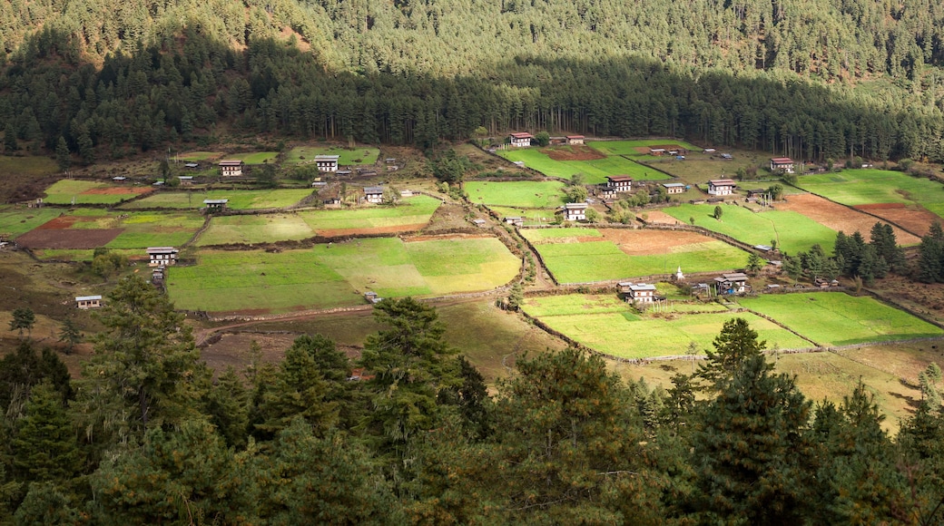 Bumthang