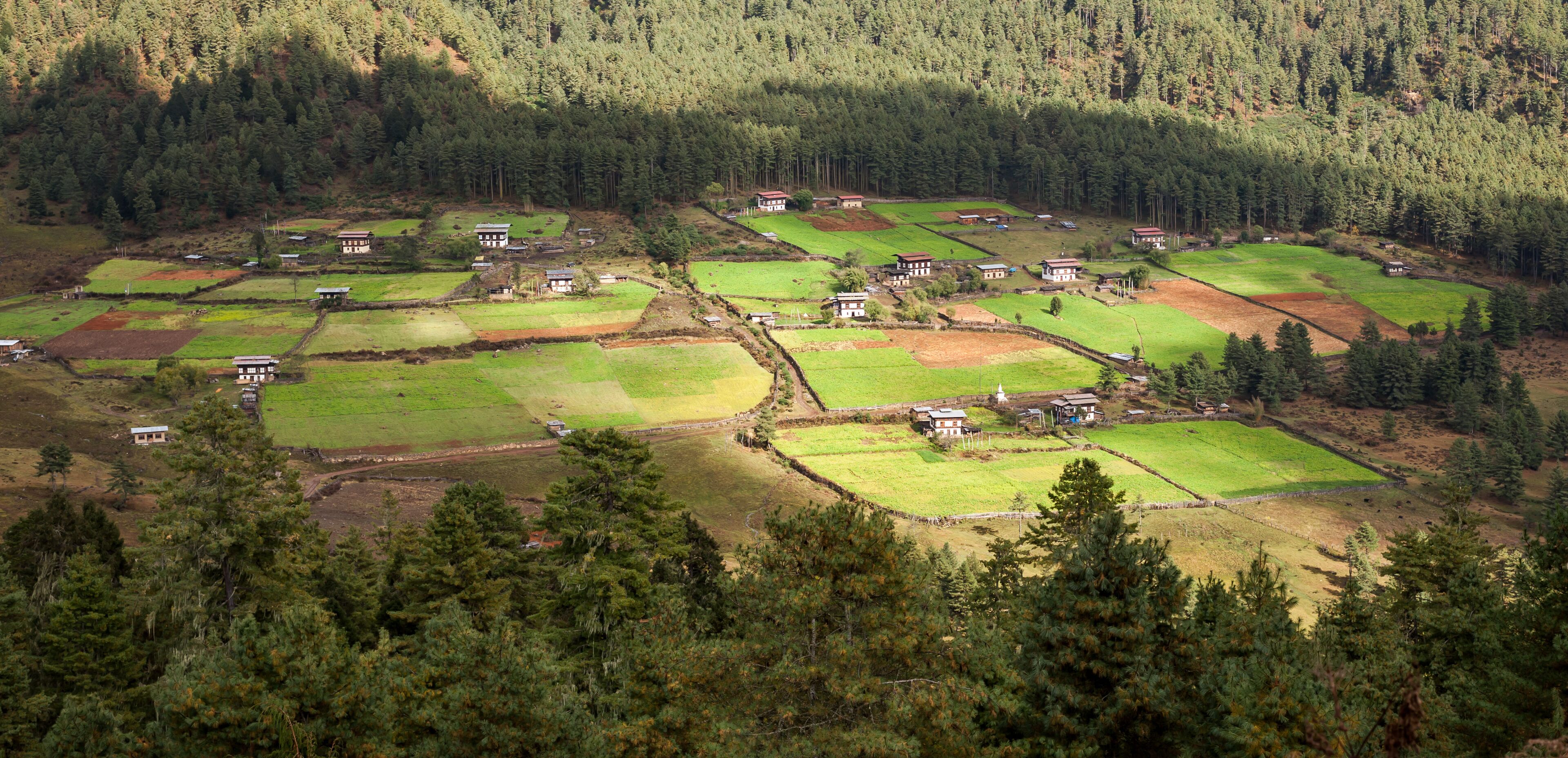 A rural landscape with terraced fields and scattered houses amidst dense forests.