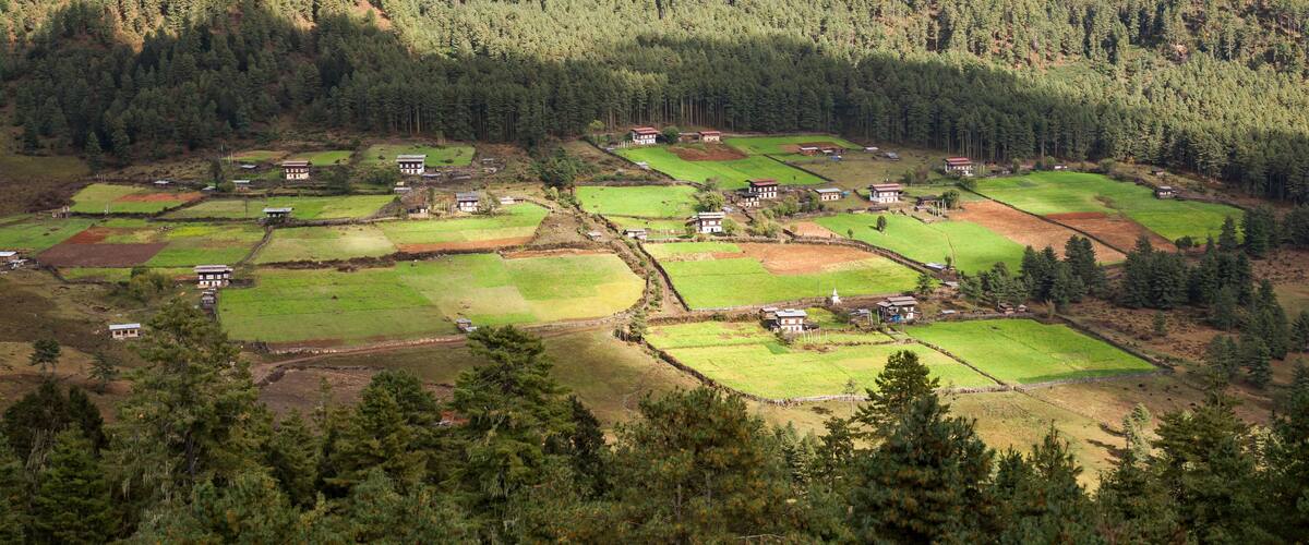 A rural landscape with terraced fields and scattered houses amidst dense forests.