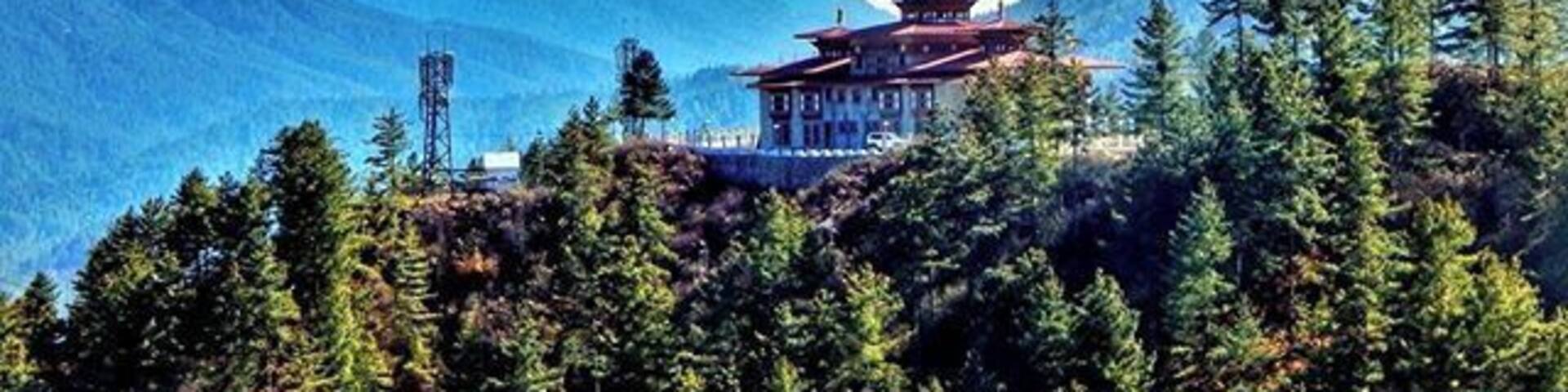 Who doesn't love clear blue skies, pine trees on both sides of the road, endless farms, traditional farm-houses, ancient monasteries and a brewery in the middle of all that. 😁
Bumthang in Bhutan is everything I mentioned above and a bit more.
Picture from December, 2015. The first time I experienced and survived -10 degree celsius. 👻
#Bhutan #bhutan_ig #himalayas #hippieinhills #bhutandiaries #naturelovers #ig_countryside #ig_asia #landscape_lovers #bluesky #skylovers #indiapictures #theshootingstar #bumthang #budgettravel #wearetravelgirls #girlslovetravel #greatoutdoors #mypixeldiary #myhallaphoto #femaletravelbloggers #travelthrowback #lovetheworld #Blue #letsgoeverywhere #ig_bhutan #wonderful_places #kissfromtheworld #travelgram #ig_daily #throwbackthursdays