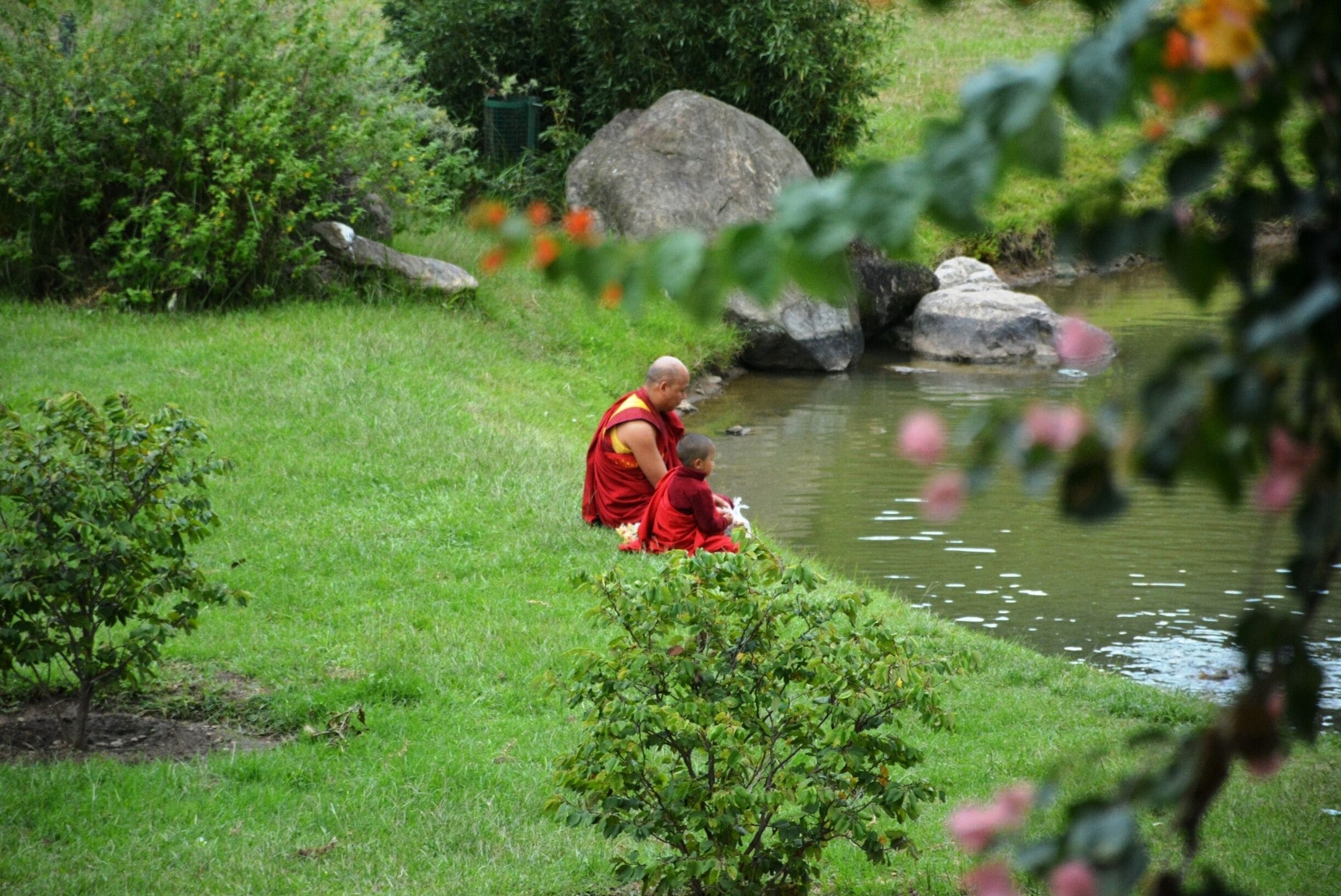 Lama busy in fishing