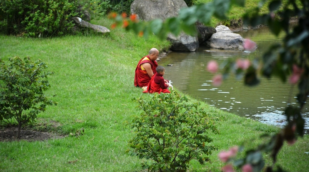 Lama busy in fishing