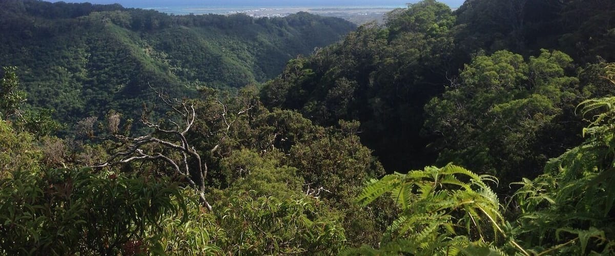 Hike that's about 3.8 mi. in a nice loop at a state park. Closes at 745pm and open at 7am #hiking