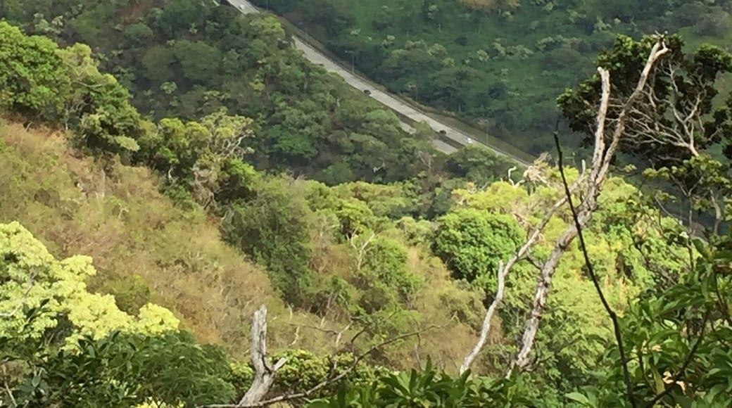 Pretty long hike through the woods, but what an amazing view!