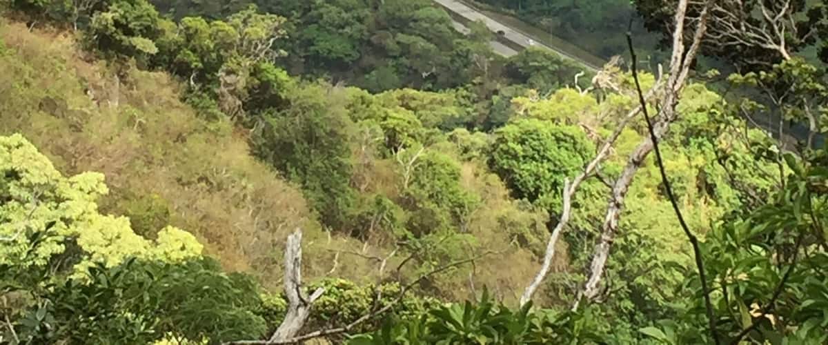 A winding highway through a lush, green mountainous landscape.