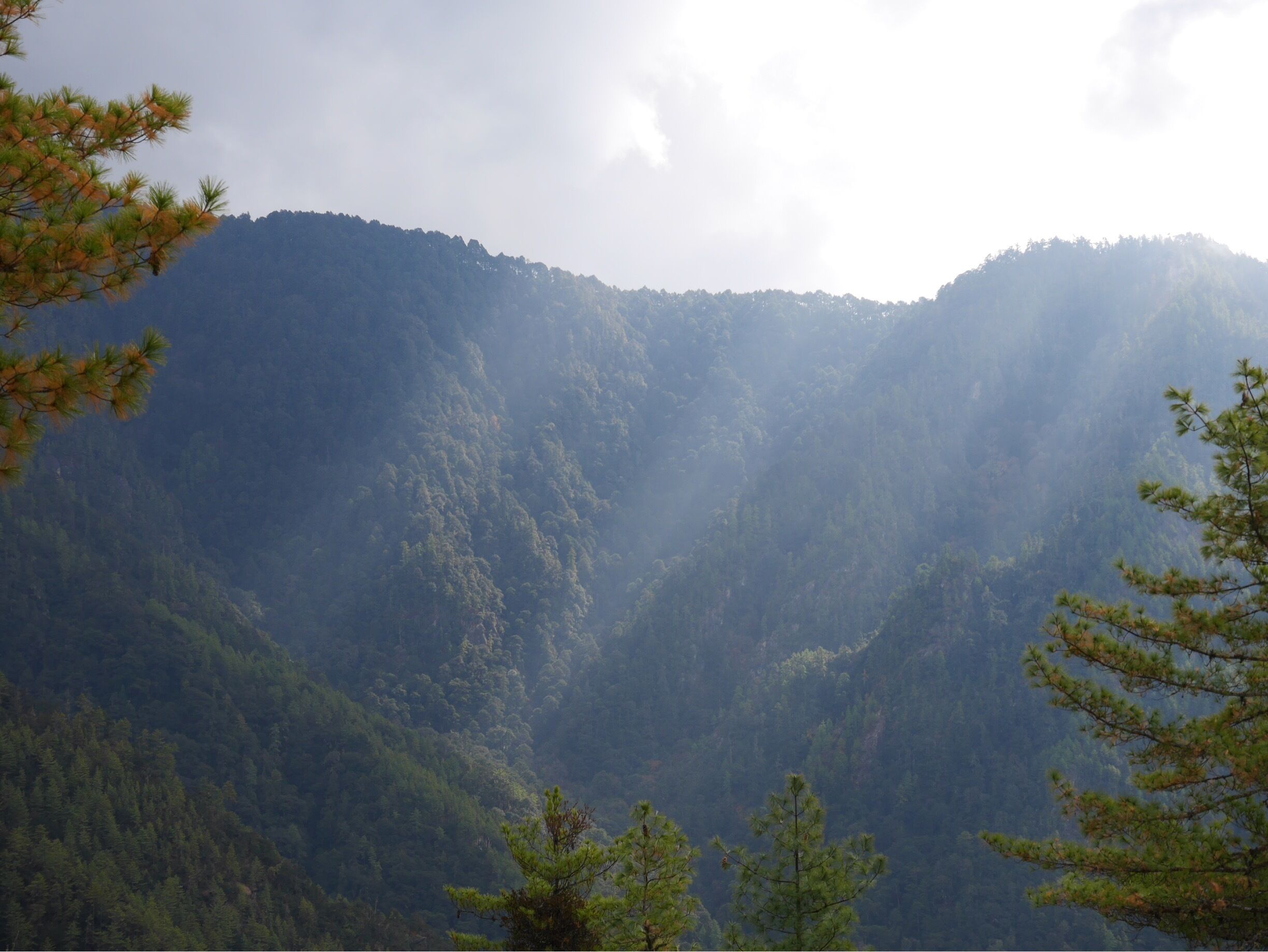 Bhutan is magical, light breaking the clouds #green #lifeatexpedia #hiking #bhutan #lumix