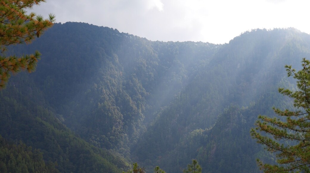 Bhutan is magical, light breaking the clouds #green #lifeatexpedia #hiking #bhutan #lumix