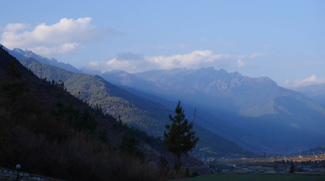 Himalayas and Bhutan 🇧🇹 #mountains #green #lumix #lifeatexpedia