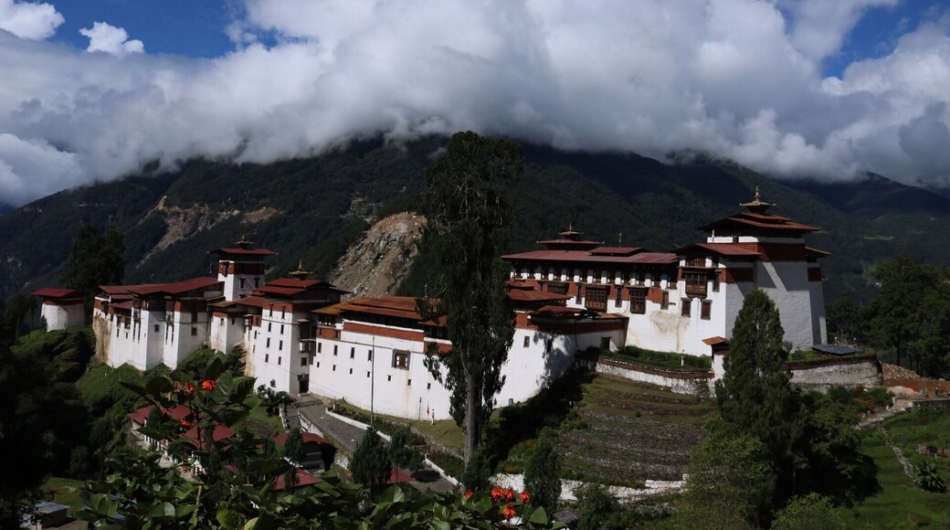This is the largest fortress or Dzong in Bhutan. The roads to reach here are challenging but worth everything and with a great driver who knows the roads, you're all sorted.