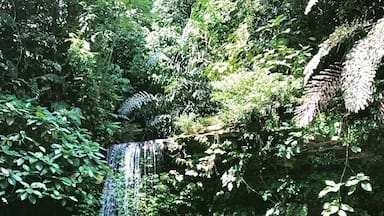 Una cascada se precipita en una piscina turquesa cristalina rodeada de vegetación verde exuberante.