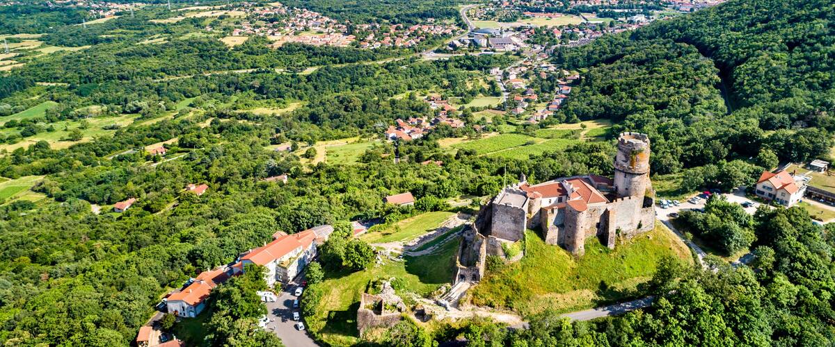A historic castle surrounded by lush greenery and a small village.