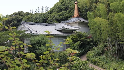 Hondoji Temple Grounds