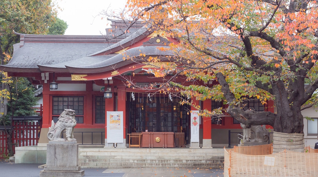 autumn trees and exterior of main shrine of hataoka hachiman shrine