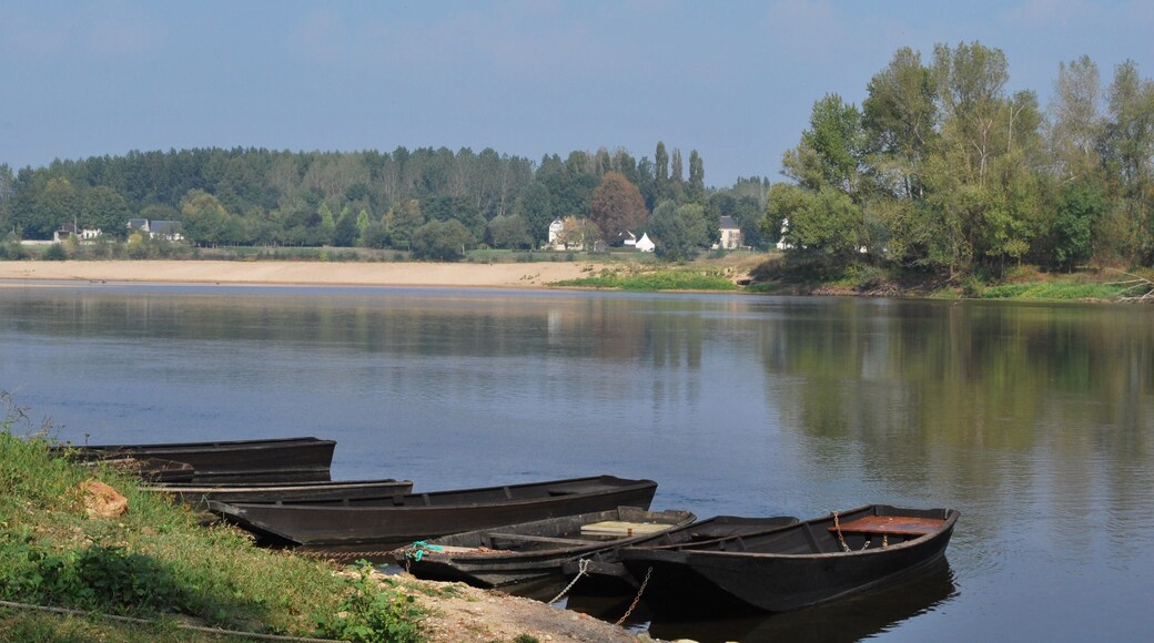 The Vienne river seen from Candes-St-Martin, near the confluence with the Loire