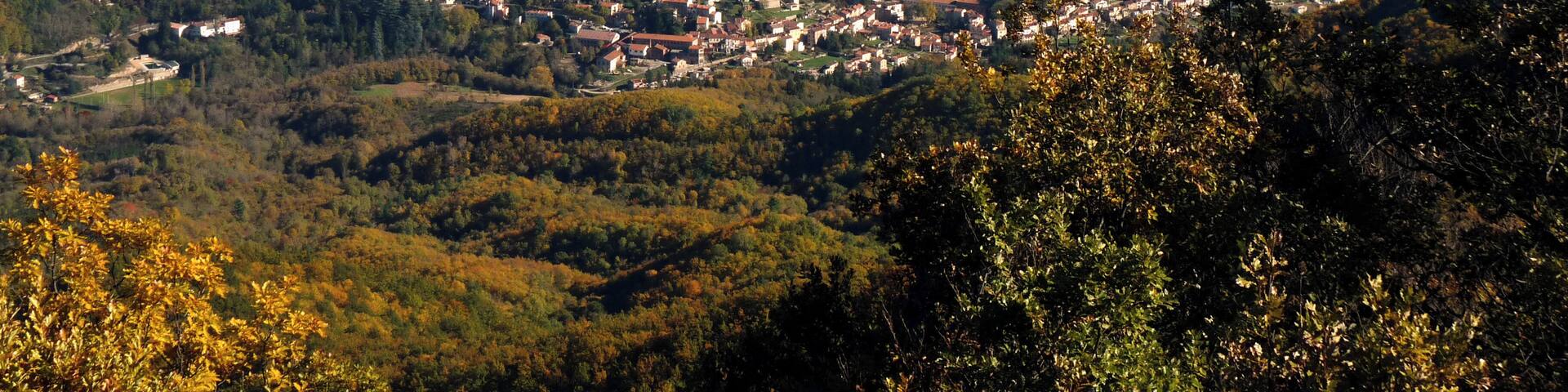 Village of Saint-Laurent de Cerdans viewed from Roc Cogull (Roussillon, France)