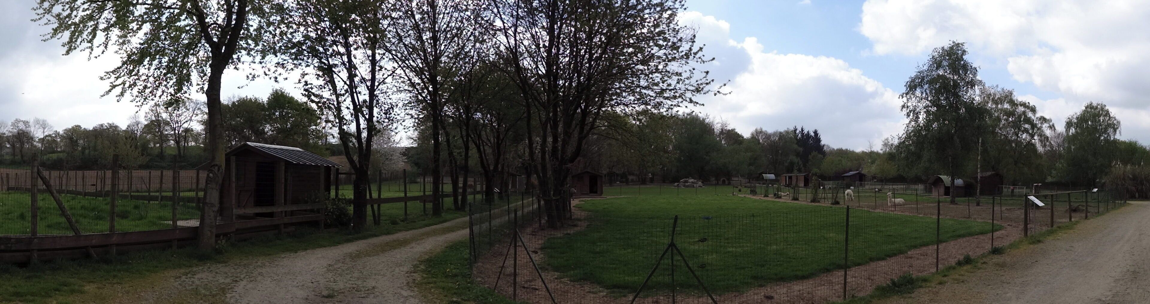 A rural landscape with a fenced area, a wooden structure, and a dirt path.