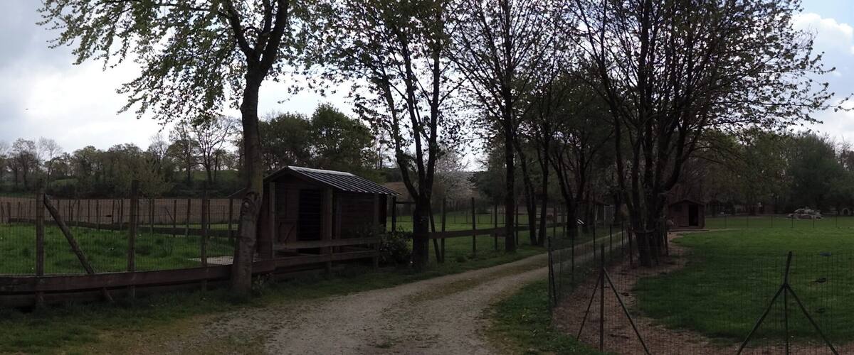 A rural landscape with a fenced area, a wooden structure, and a dirt path.