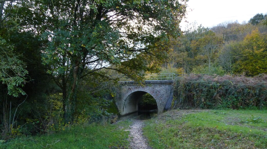 abords de la vilaine a guichen