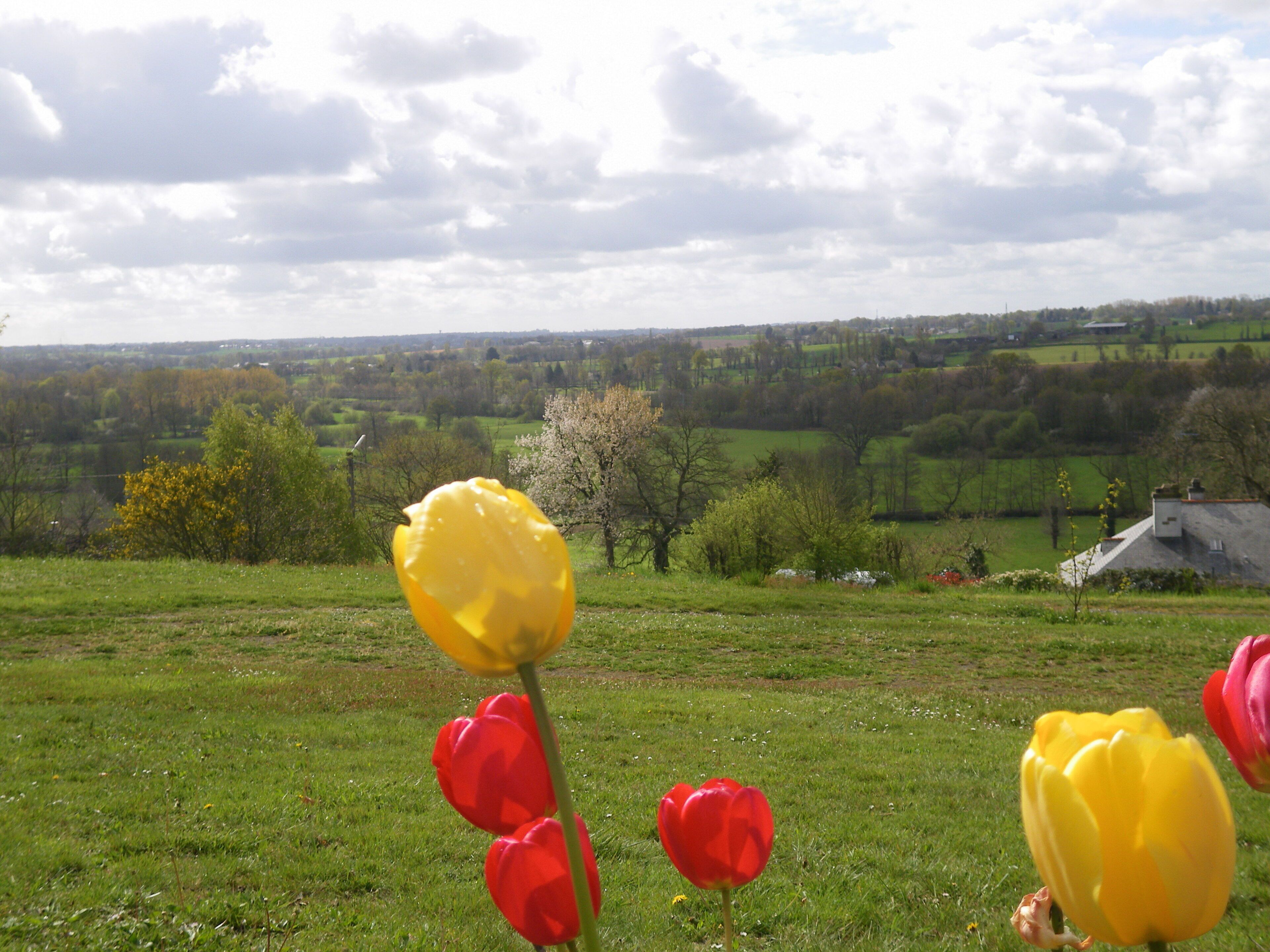 paysage depuis st germain sur ille