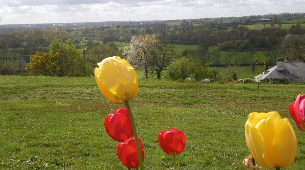 paysage depuis st germain sur ille
